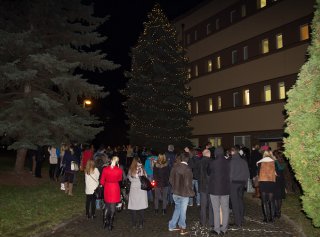 Vánoční strom MUP opět září ve Strašnicích